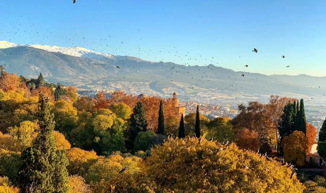 Autumn In Spain
