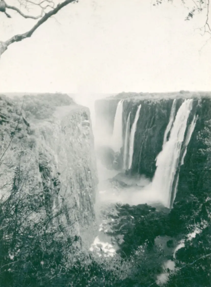 TS_RGS_LivingstonesAfrica_PhotographbyMarySophiaJohnston.png